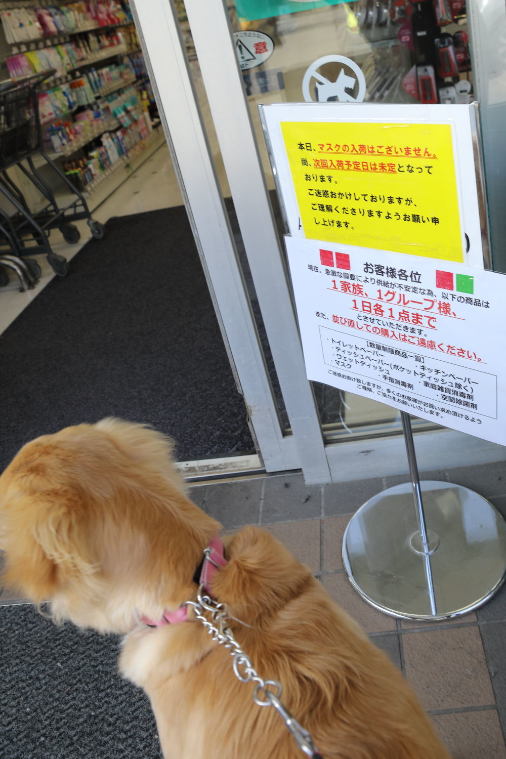 捕獲されました♪_b0275998_14123164.jpg
