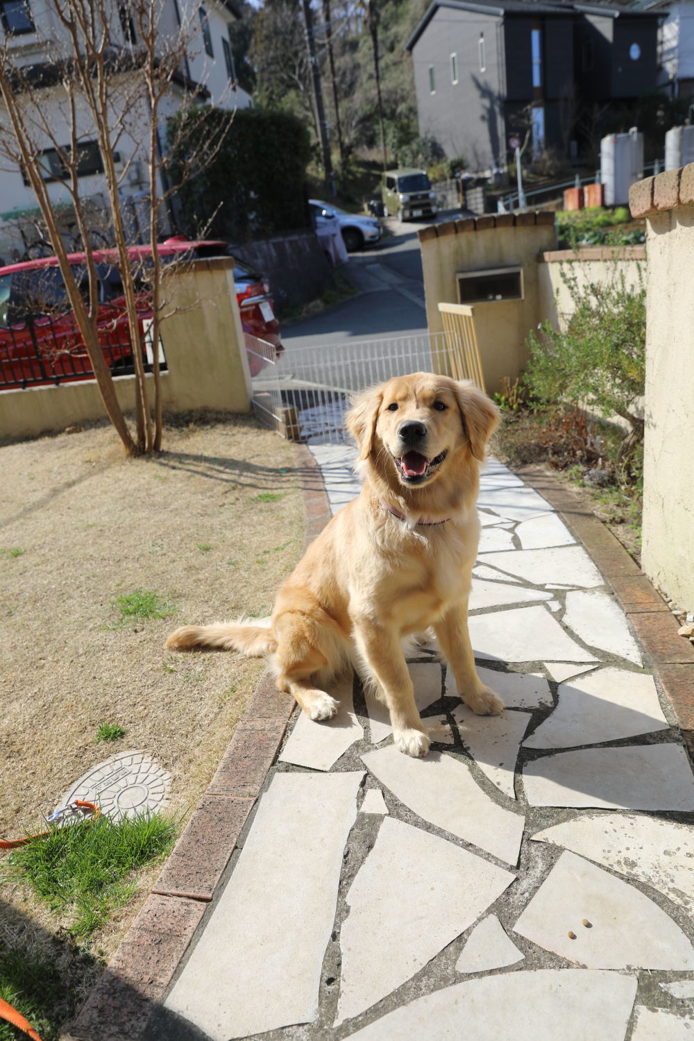 捕獲されました♪_b0275998_14124172.jpg