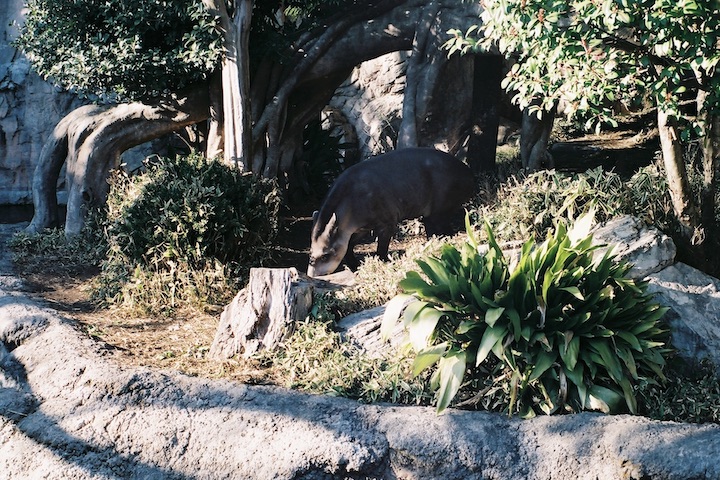 フィルム上野 TLS編 6枚_b0016600_2248668.jpg