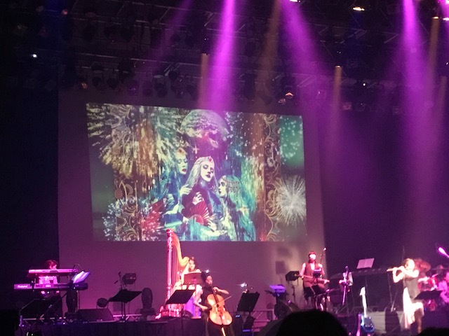 プロの技に触発。_a0050302_15280588.jpg
