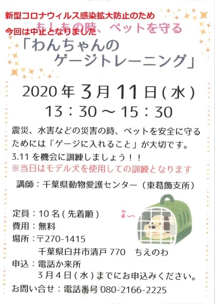犬猫のホーム『ちえのわ』_f0242002_18005327.jpg