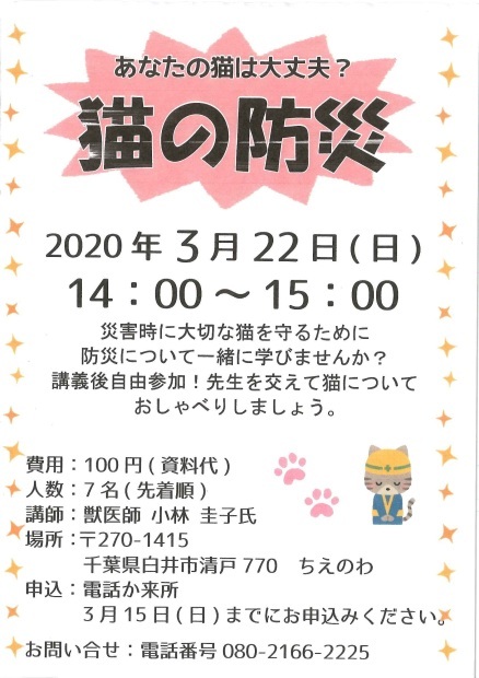 犬猫のホーム『ちえのわ』_f0242002_18010011.jpg