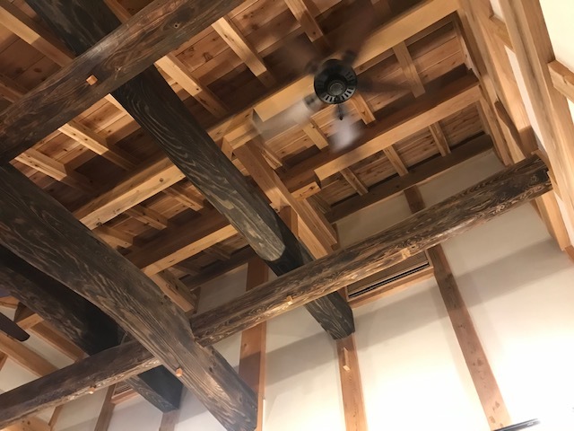 犬猫のホーム『ちえのわ』_f0242002_18510469.jpg