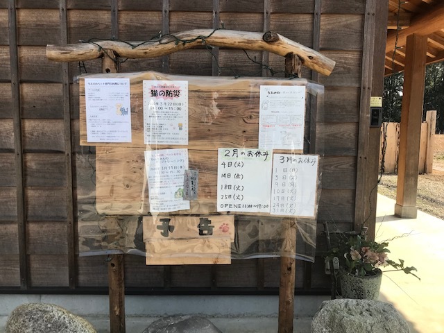 犬猫のホーム『ちえのわ』_f0242002_18511012.jpg