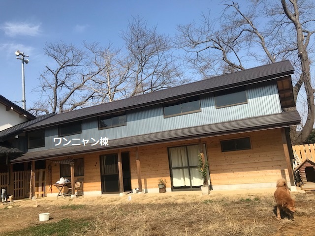 犬猫のホーム『ちえのわ』_f0242002_18574007.jpg