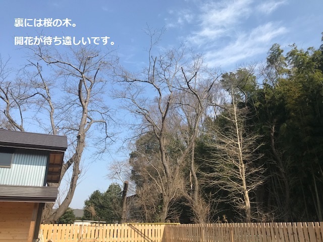 犬猫のホーム『ちえのわ』_f0242002_18574886.jpg