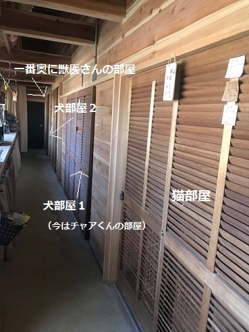 犬猫のホーム『ちえのわ』_f0242002_18581820.jpg