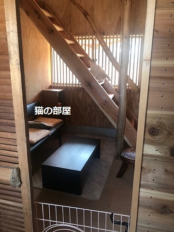 犬猫のホーム『ちえのわ』_f0242002_19014061.jpg
