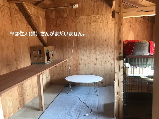 犬猫のホーム『ちえのわ』_f0242002_19025141.jpg