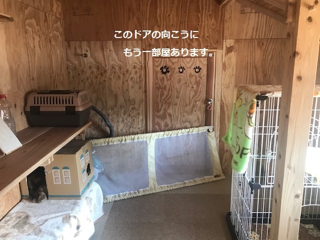 犬猫のホーム『ちえのわ』_f0242002_19025855.jpg