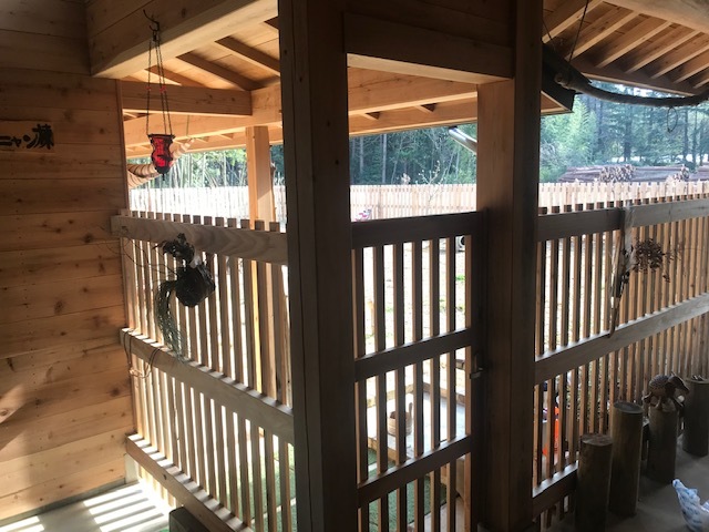 犬猫のホーム『ちえのわ』_f0242002_19110703.jpg