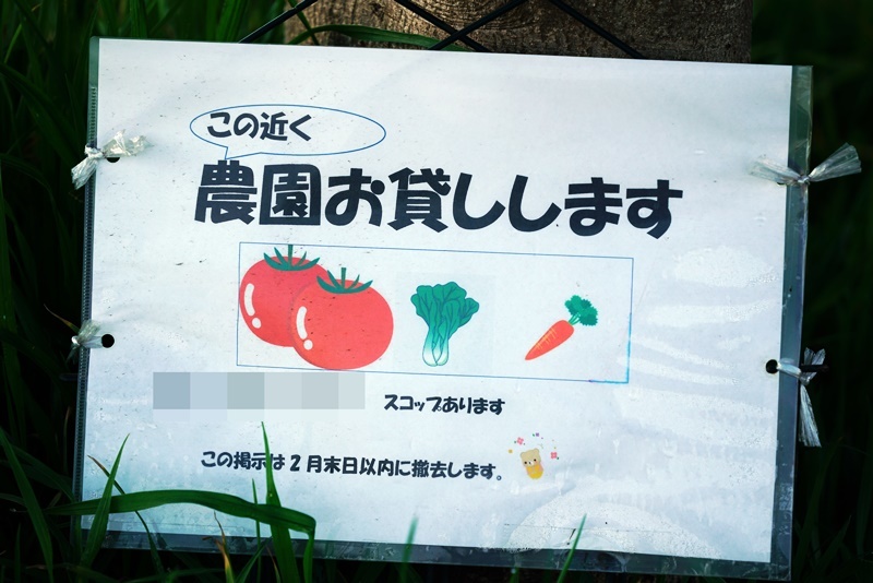 一か月ぶりの更新。いろいろありました。。_c0187503_14594339.jpg
