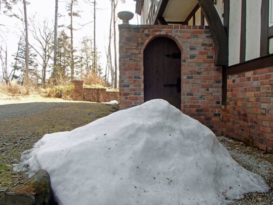 とうとう雪がなかった2月_f0064906_11091676.jpg
