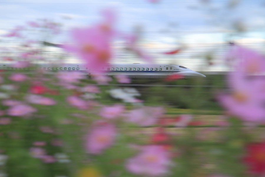 700系カウントダウン 3_e0157717_23235943.jpg