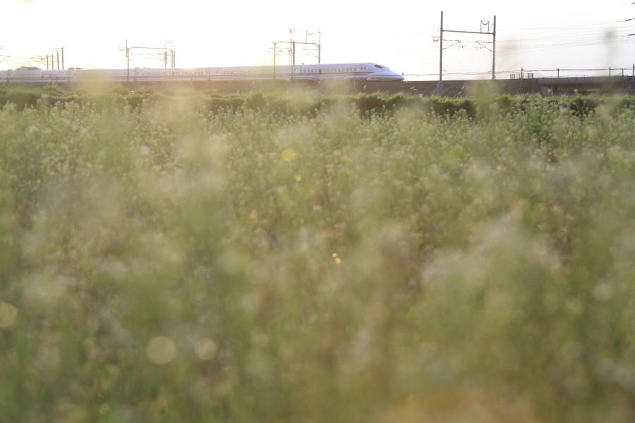 700系カウントダウン 3_e0157717_23235971.jpg