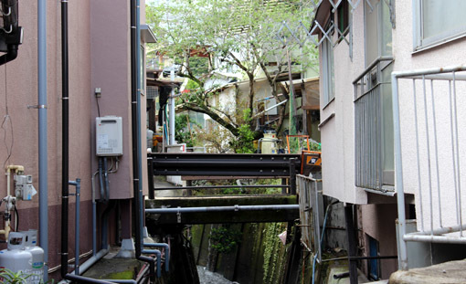 温泉と猫は似合うね☆別府・鉄輪温泉の路地裏とまったりな猫たち_a0329820_11202664.jpg