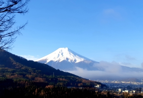 3月のキャンペーン!_f0304030_07330980.jpg