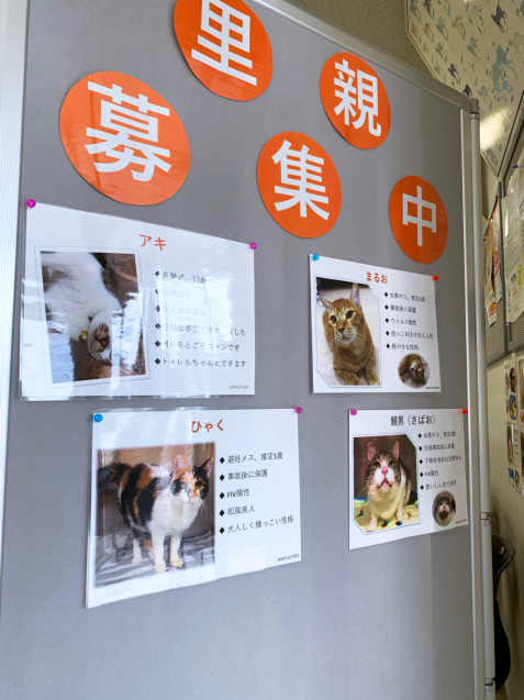 抜糸してきたよー!_d0355333_22472672.jpg