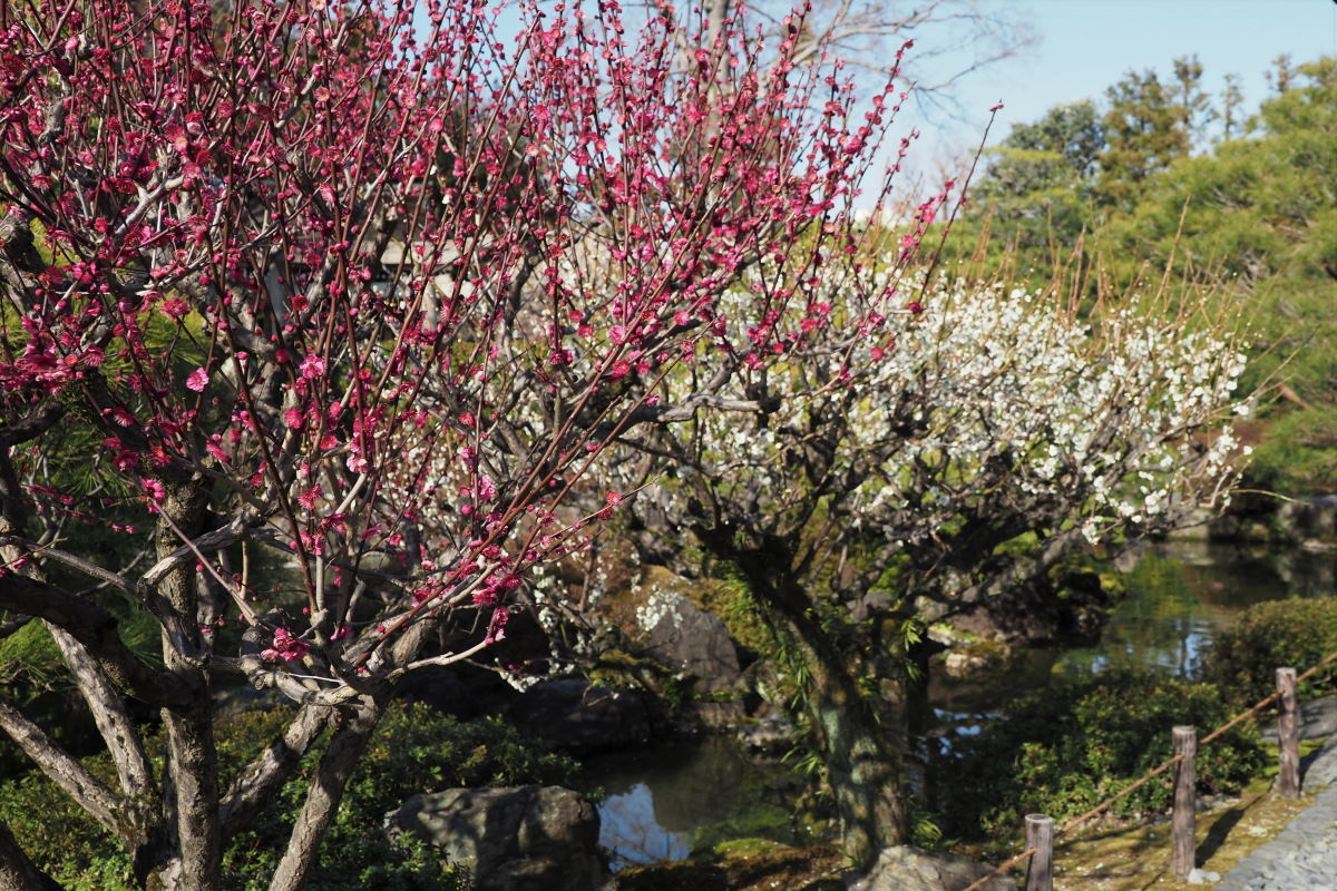 城南宮をもう少し_a0347635_10553100.jpg