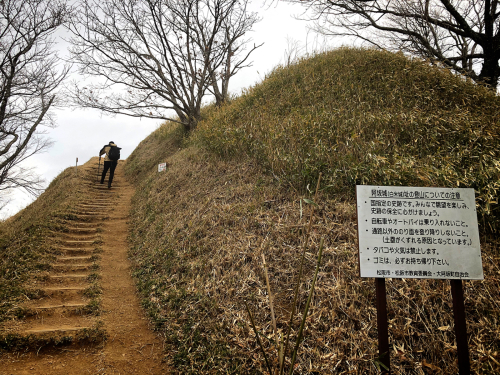 白米城(松阪市)_e0292546_00435023.jpg