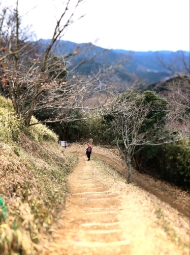 白米城(松阪市)_e0292546_00441016.jpg
