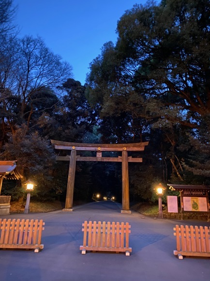 おだやかな春を祈りながら_c0113755_00521809.jpeg