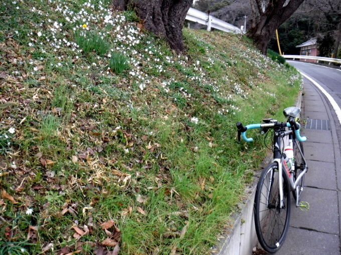 11月以来の筑波山ブルベコース To Ride A Bicycle At Toride