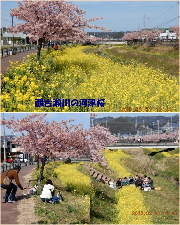 スマホのレンズに付着した接着剤は スマホで今日の行動を証明 小次郎じじ物語