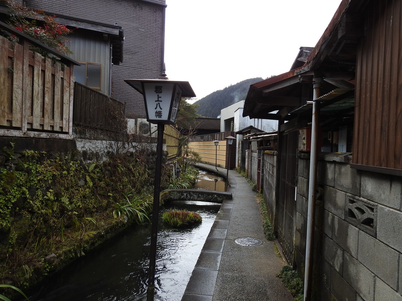 郡上八幡の水風景 いがわ小路 宗祇水 やなか水のこみち 自然風の自然風だより