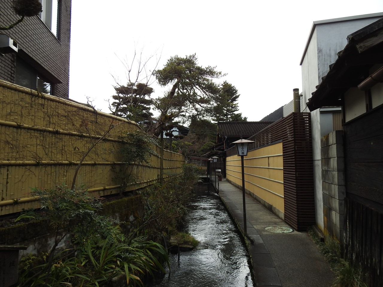 郡上八幡の水風景 いがわ小路 宗祇水 やなか水のこみち 自然風の自然風だより