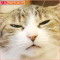 猫のいる会議室_a0389088_04085925.jpg