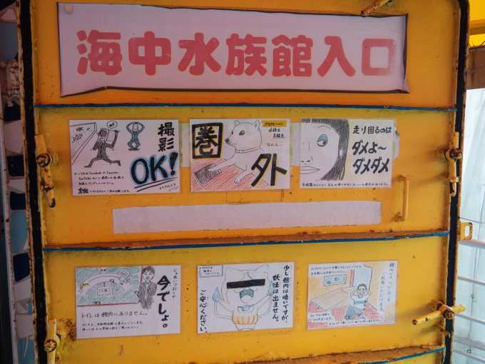 空飛ぶイルカ「天草エアライン」に乗って・・九州”天草”を満喫!(3)_f0276498_14405539.jpg