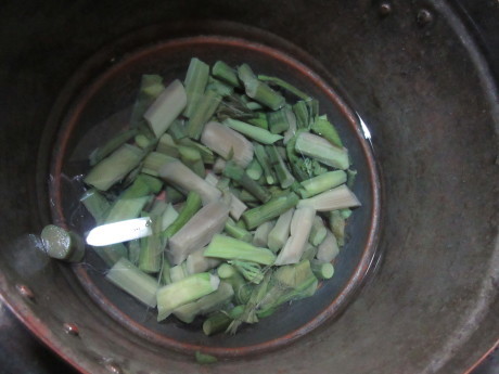 塩漬けの山ウド・鎚起銅器_a0203003_19253484.jpg