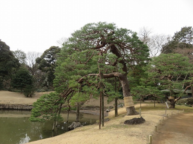 六義園② 紀州の景勝地 (新江戸百景めぐり61-2)_c0187004_20393485.jpg