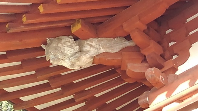 東光寺 岡寺_c0236632_16012323.jpg