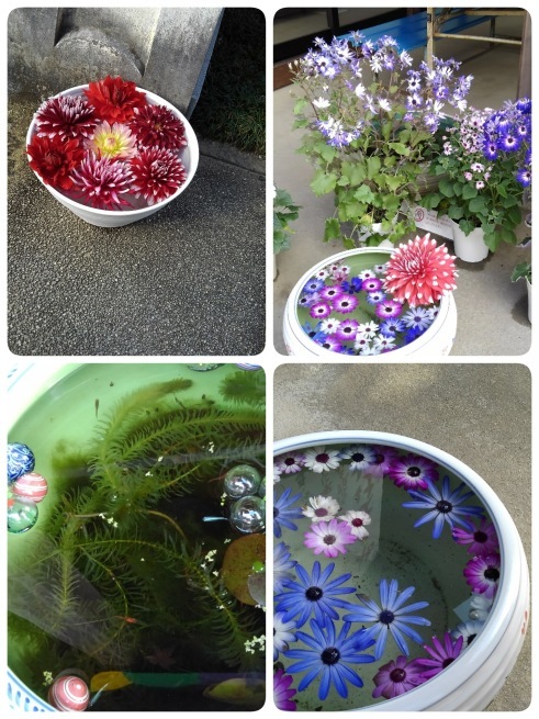 東光寺 岡寺_c0236632_16020054.jpg