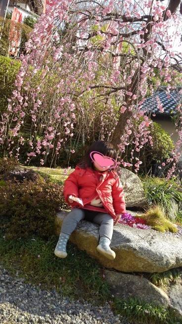 東光寺 岡寺_c0236632_16112953.jpg