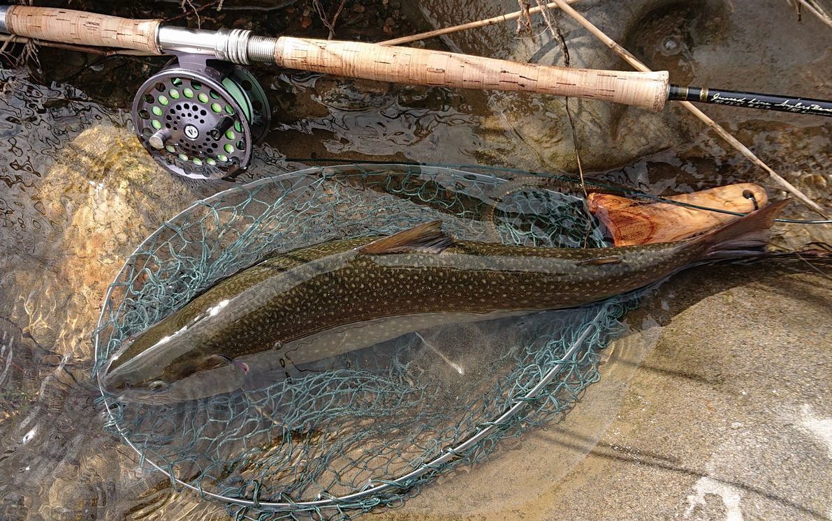 Greased Line Glide / グリースド ライン グライド by Anglers Greased Line Glide / グリースド ライン グライド by Anglers