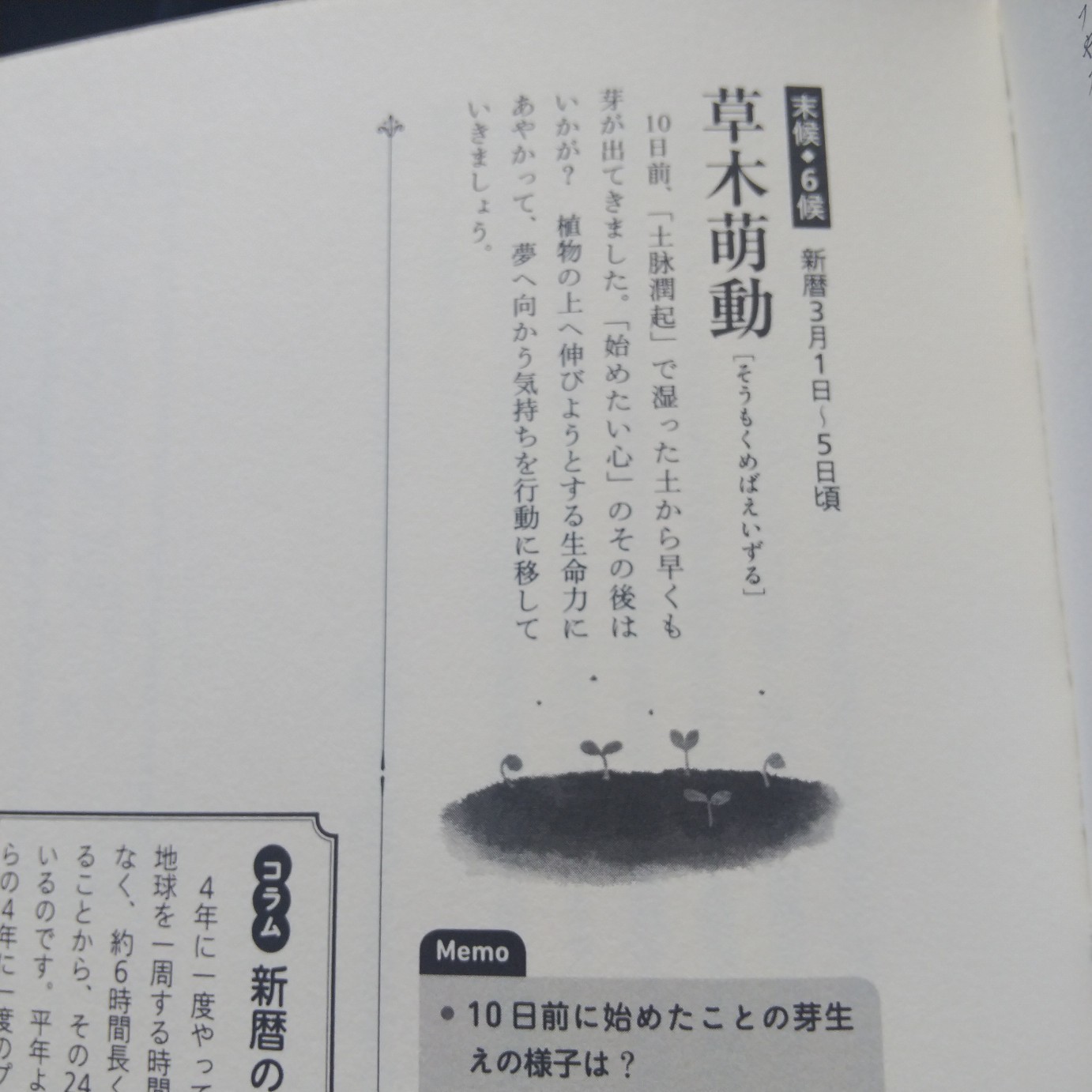 200302 七十二候「草木萌動」(そうもくめばえいずる)_f0164842_21311740.jpg