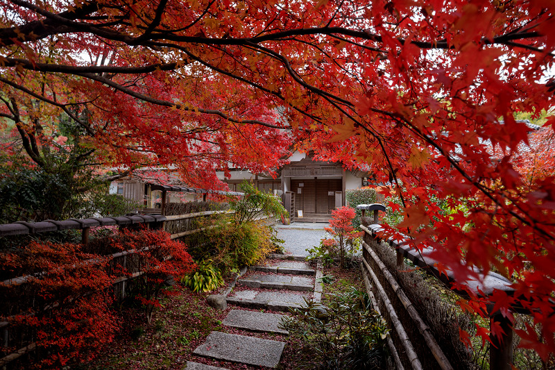 紅葉が彩る京都2019　彩秋（直指庵）_f0155048_0404477.jpg