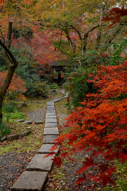 紅葉が彩る京都2019　彩秋（直指庵）_f0155048_0423585.jpg