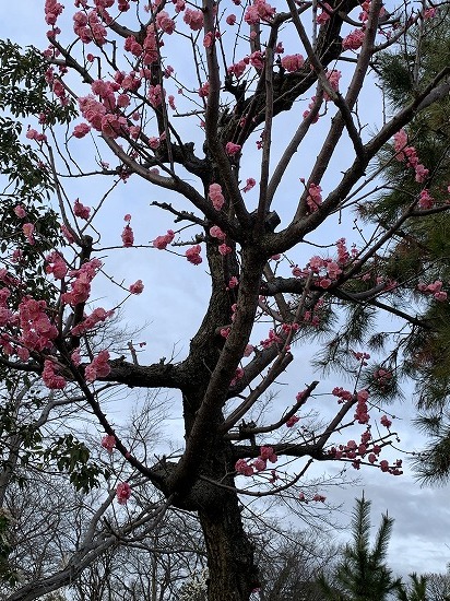 びっくり_c0327752_14175962.jpg
