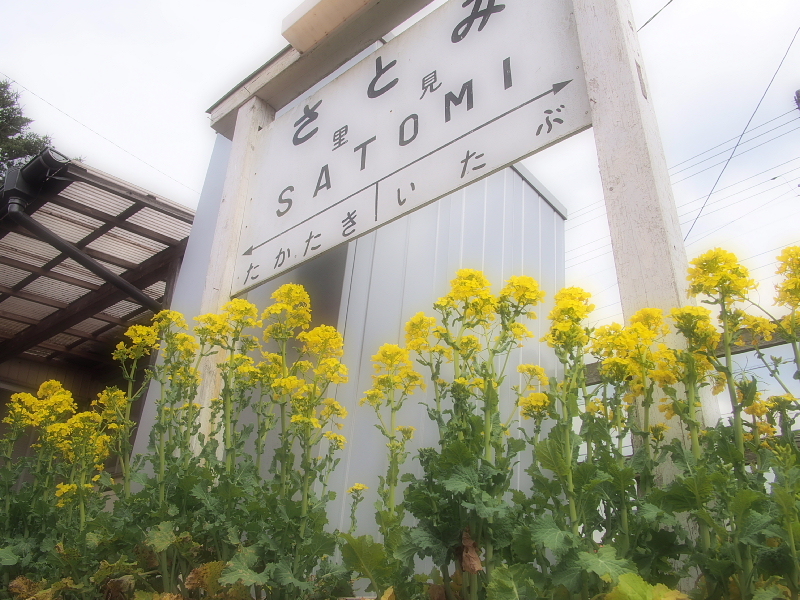 【Photo日記】菜の花と梅 ～早春の小湊鐵道 ①  往路編_b0008655_14494059.jpg