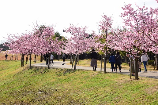 公園 馬見 丘陵
