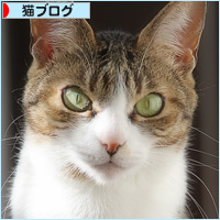 孫の成長はかわいい_a0389088_03592712.jpg