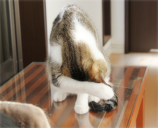 孫の成長はかわいい_a0389088_03592733.jpg