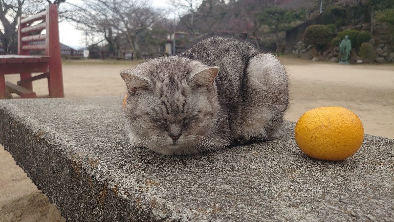 尾道リフレッシュ旅。_b0334704_01170678.jpg
