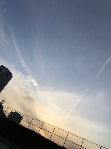 お掃除は以前は苦手でした~_a0390917_23132390.jpg