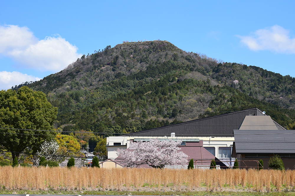 丹波の赤鬼の居城、黒井城攻城記。 その1 <山麓>_e0158128_10430717.jpg