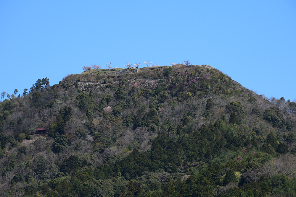 丹波の赤鬼の居城、黒井城攻城記。 その1 <山麓>_e0158128_10430921.jpg